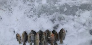 ice fishing