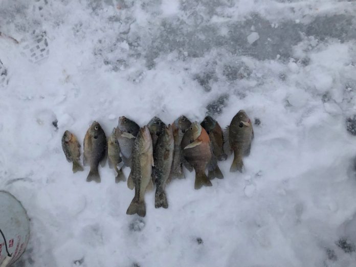 ice fishing ice fishing