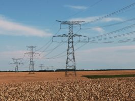 High Tension Power Lines Over Field