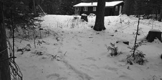 Snow path