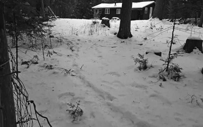fareifeb21path Snow path