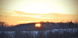 winter sunset