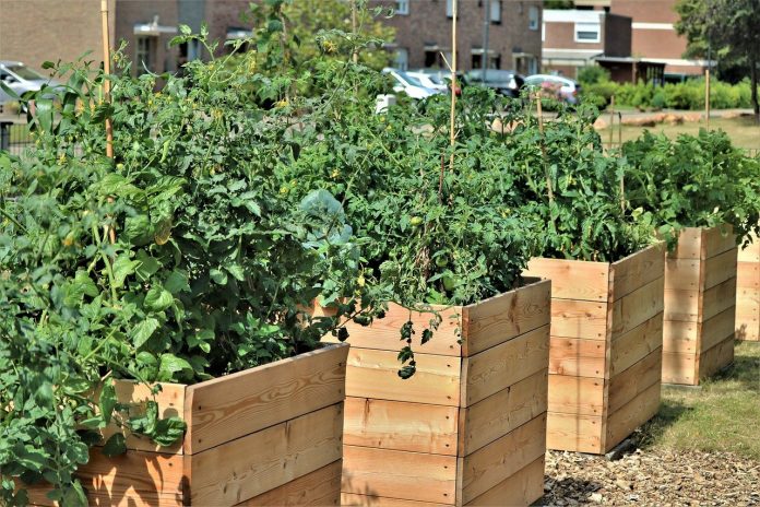 raised bed garden raised bed garden