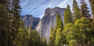 Yosemite National Park