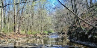 ohio stream