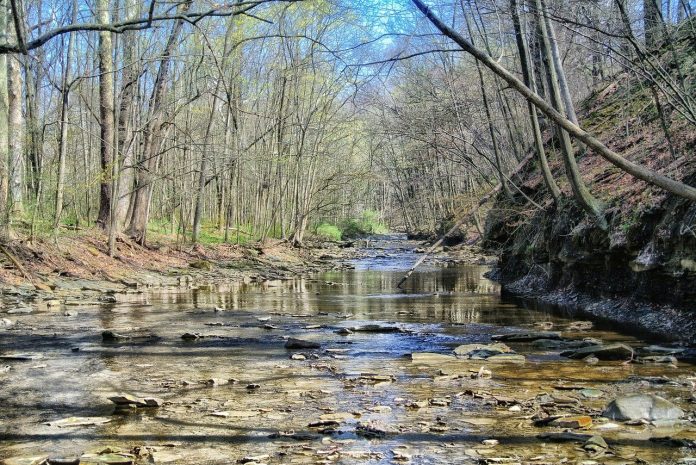 ohio stream ohio stream