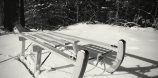 sled
