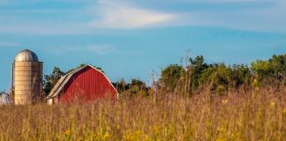 A barn behind a field.