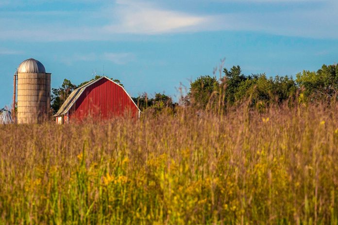 metro farm A barn behind a field.