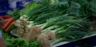 farmers market