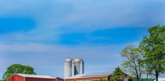 A picture of a farm on a sunny day.