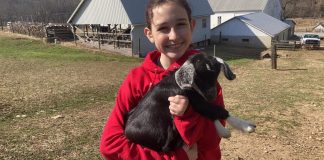 girl with goat kid