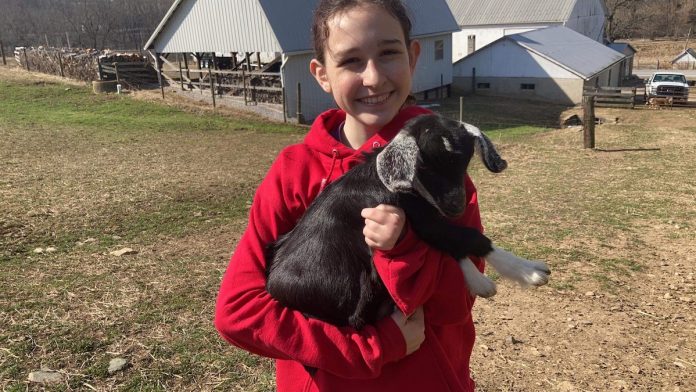 skirted-soldier-1 girl with goat kid