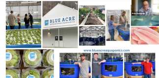 blue acre aquaponics screencap