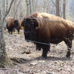 riffle-farms-1