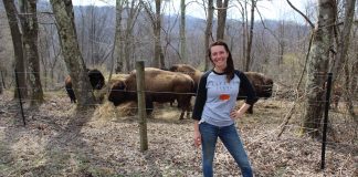 buffalo farm