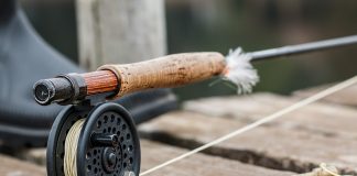 fly fishing