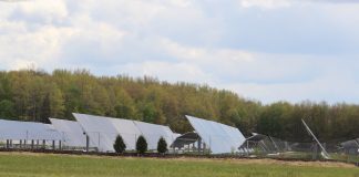 solar panels in a field