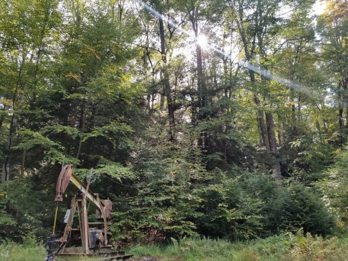 pump jack pump jack sits in a forest