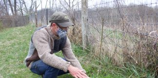 A man points out plants growing on a farm.