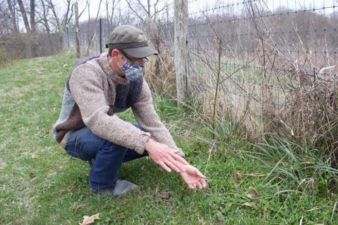 solid_ground_2 A man points out plants growing on a farm.