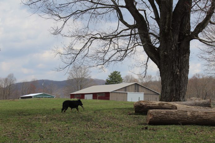 wv-farm west virginia farm