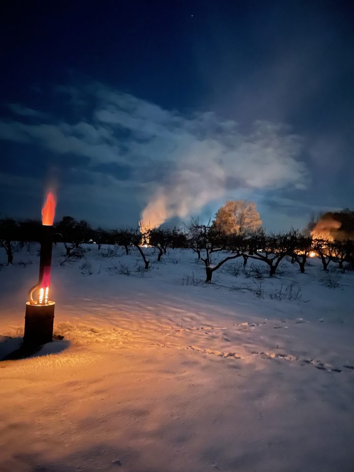 5-06 fruit_farms_late_freeze.1 Fires lit in a snow-covered peach orchard.