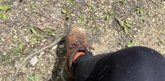 hiking boot
