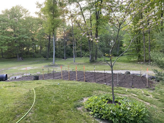 watered garden watered garden