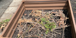 Jordan's raised bed garden