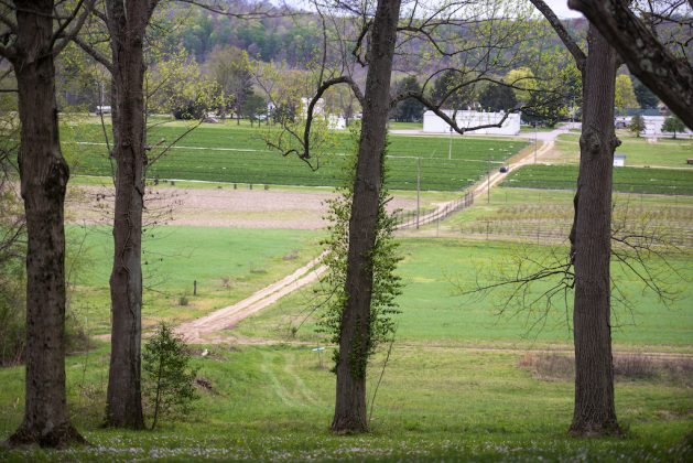 A look through the trees up on a hill at a farm.