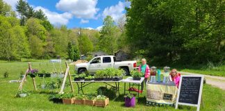 kids at farmers market stand