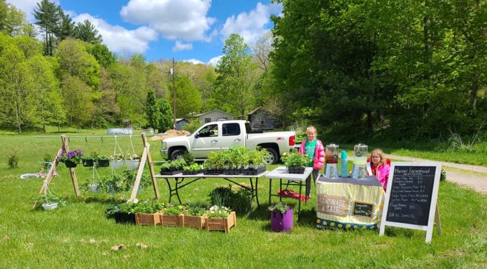 Researchers: Health care and child care hold back family farms kids at farmers market stand