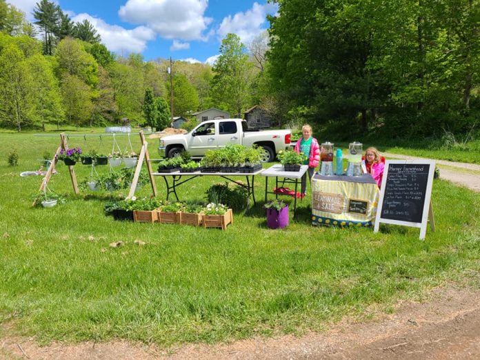 healthcare-struggles-2 kids at farmers market stand
