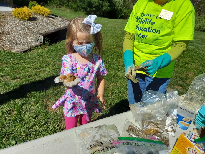 Milkweed Mud Pies program Milkweed Mud Pies program