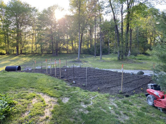garden garden