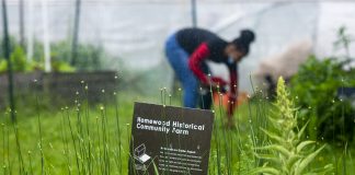 A woman gathers her things in the rain behind a sign for the Homewood Historical Community Farm, in Pittsburgh.
