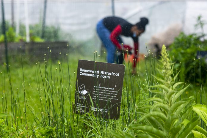 Homewood Historical Community Farm A woman gathers her things in the rain behind a sign for the Homewood Historical Community Farm, in Pittsburgh.