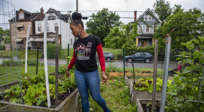 Discrimination adds a layer to beginning farmers’ challenges A woman stands in a garden at a community farm, in Pittsburgh.