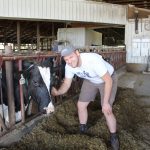 denmandale-dairy-2
