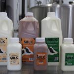denmandale-dairy