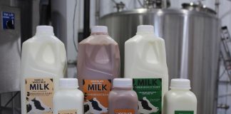 milk lineup for denmandale dairy