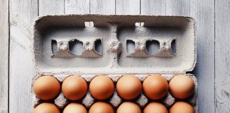 eggs