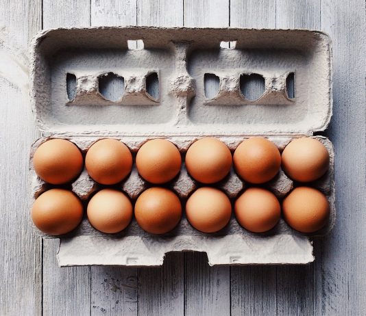 eggs
