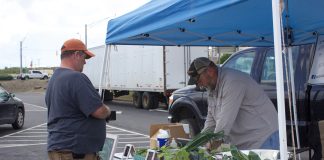 A farmer serves a customer at a farmers market.
