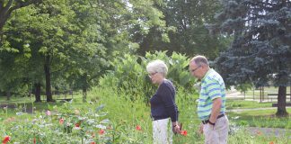 A woman and a man look over plants in a pollinator garden.