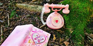 telephone and diary