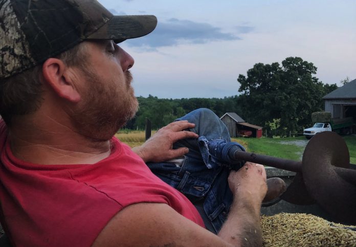 farm-accident-1 guy sitting in oats