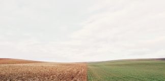 farmland