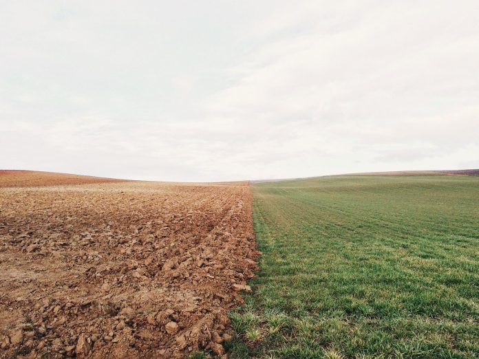 farmland farmland